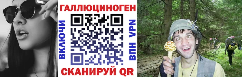 Галлюциногенные грибы MAGIC MUSHROOMS  Ермолино 